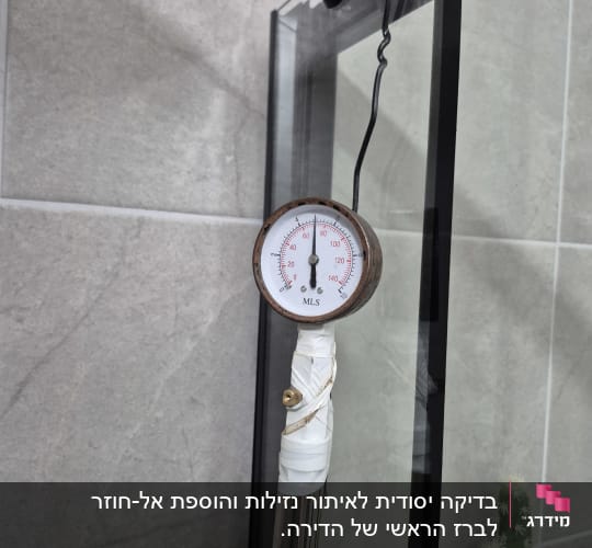 מד לחץ מים בחדר אמבטיה עם קקטוס
